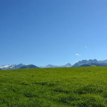 Henry - Tiefparterre By Interhome Gstaad