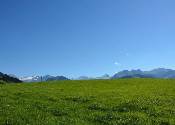 Henry - Tiefparterre By Interhome Gstaad